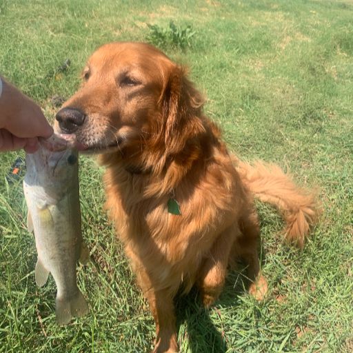 Fishing